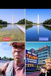 Biden vs Trump Washington Monument Meme Template