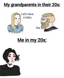 Me in my 20s vs my grandparents Meme Template