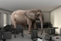 elephant in the room Meme Template