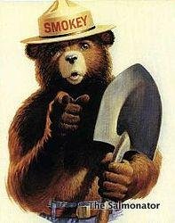 Smokey The Bear Says Meme Template