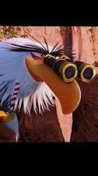 bird observing Meme Template
