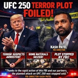 UFC 250 TERROR PLOT Meme Template