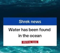 Shkrek news Meme Template