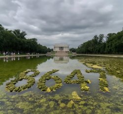 86 45 is everywhere. Who's Trump going to sue? Reflecting Pool. Meme Template