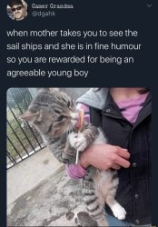 When mother takes you to see the sail ships Meme Template