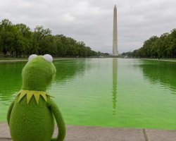 Kermit Reflecting Pool Meme Template