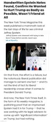 New York Times confirmed Epstein Hated Trump Meme Template