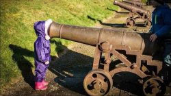 cannon face Meme Template
