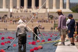 Reflecting Pool Meme Template