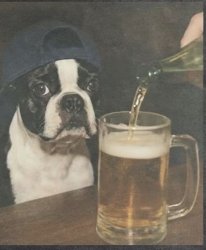 Boston bar patrons after the Tartan Army leaves town. Meme Template