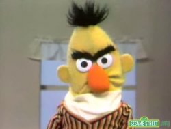 Sesame Street - Angry Bert Meme Template