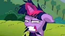 mlp Meme Template