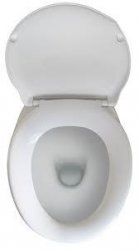 Pee On Toilet Seats Meme Template