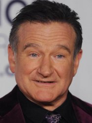 Robin Williams Meme Template
