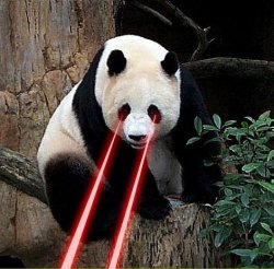 Laser panda Meme Template