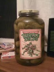 turtle dick pickles Meme Template