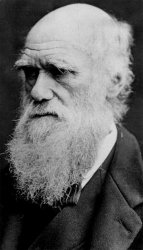 Darwin Meme Template