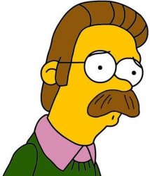 Ned Flanders Meme Template