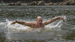 Putin Swimming Meme Template