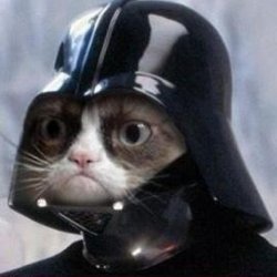 Grumpy Cat Meme Templates Imgflip - oddawaj robuxy grumpy cat meme generator