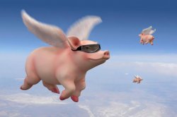 flying pigs Meme Template