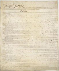 Constitution Meme Template