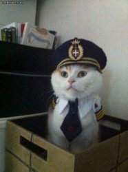 Captain Cat Meme Template
