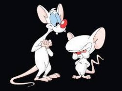 Pinky and the Brain Meme Template