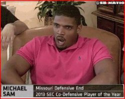 Michael Sams Meme Template