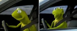 Kermit Driver Meme Template