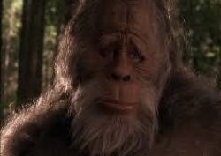 Bigfoot Meme Template