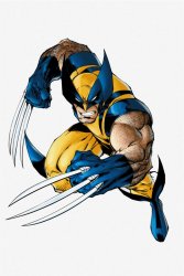Wolverine  Meme Template