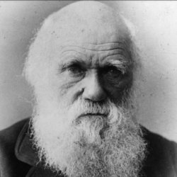 Disappointed Darwin Meme Template