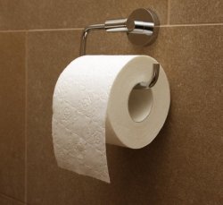 Toilet Paper Meme Template