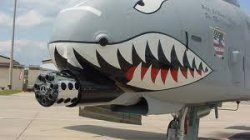 A-10 Warthog Meme Template