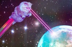 laser cat Meme Template