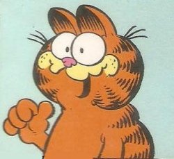 Garfield Meme Template