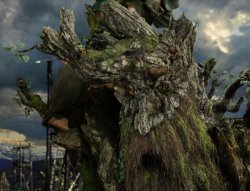 treebeard Meme Template