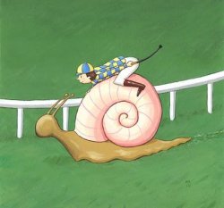 Snail Jockey Meme Template