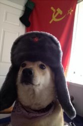 communist dog Meme Template