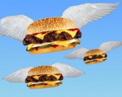 flying burger Meme Template