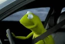 Kermit meme Meme Template