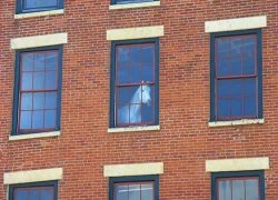 Horse on Window Meme Template