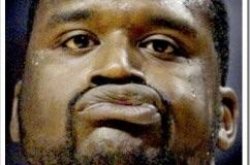 Welpshaq Meme Template