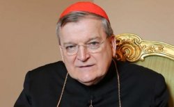 cardinal burke Meme Template