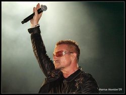 Bono Meme Template