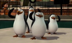 Just smile and wave boys Meme Template