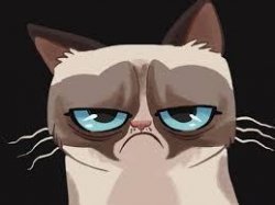 Grumpy Cat Cartoon Meme Template