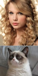 Grumpy Cat says "no" to Taylor Swift as NYC Global Welcome Ambas Meme Template
