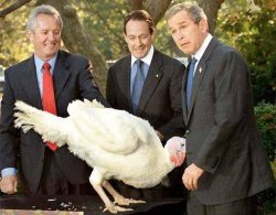 bushandturkey Meme Template